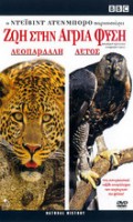 Ζωή Στην Αγρια Φύση: Λεοπάρδαλη και Αετός